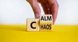 1/28/24-2/24/24: From Chaos to Calm: Mastering Classroom Management, Improving Student Behavior, and Increasing Teacher Resiliency